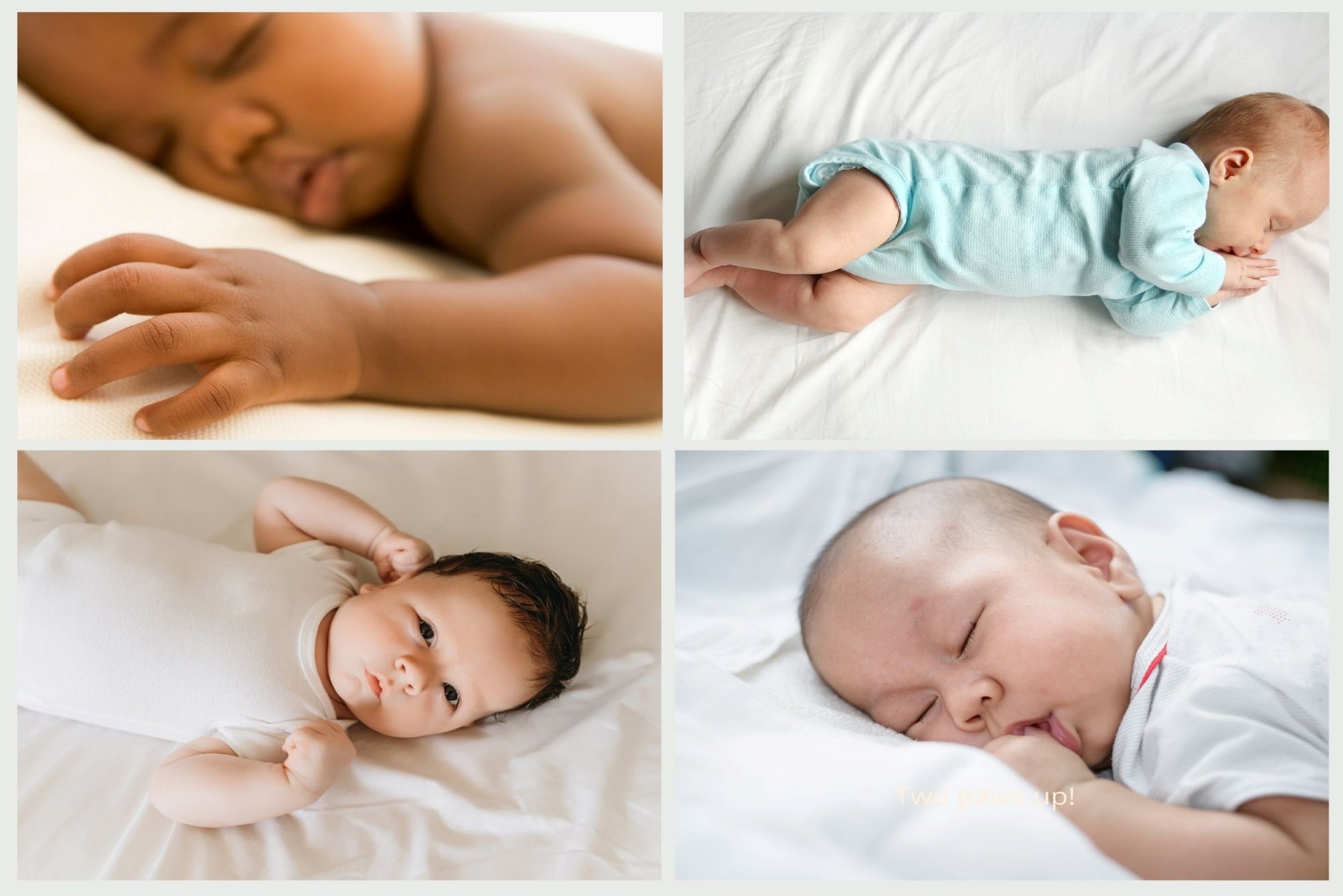 Babies sleeping on American Blossom Linens crib sheets