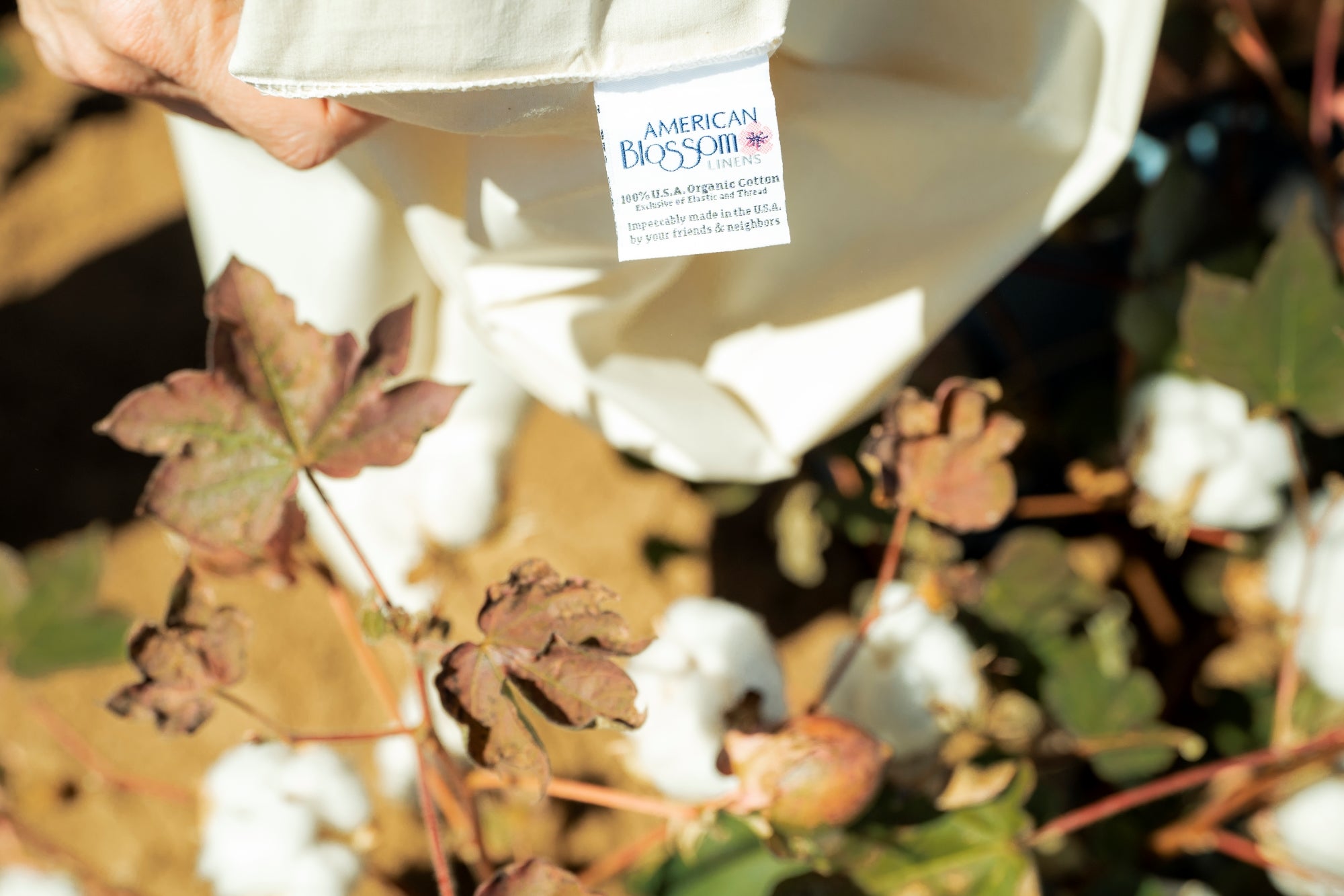 Does Organic Cotton Make a Difference