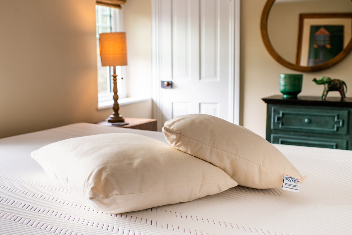 Two Pillow on Bed Pillows Bed Pillow Natural Cotton Wool Fill Made in USA