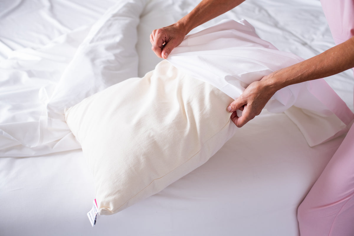 Woman Putting Pillowcase on Pillow Bed Pillow Natural Cotton Wool Fill Made in USA
